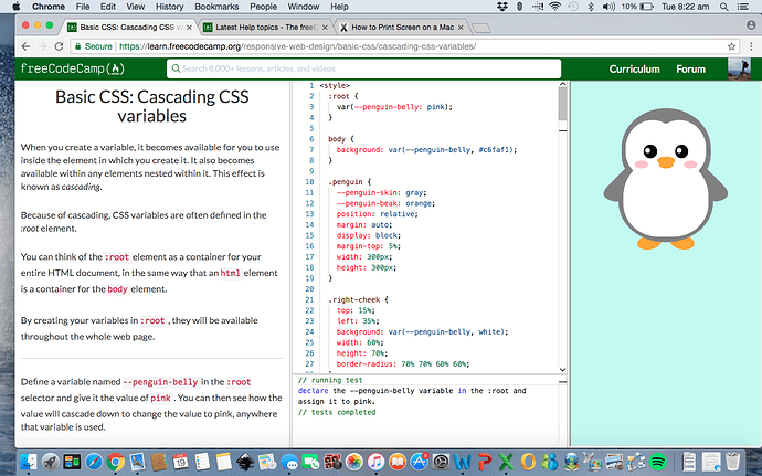 CSS variables code on screen - I need help with the lesson Basic CSS: Cascading CSS variables ...